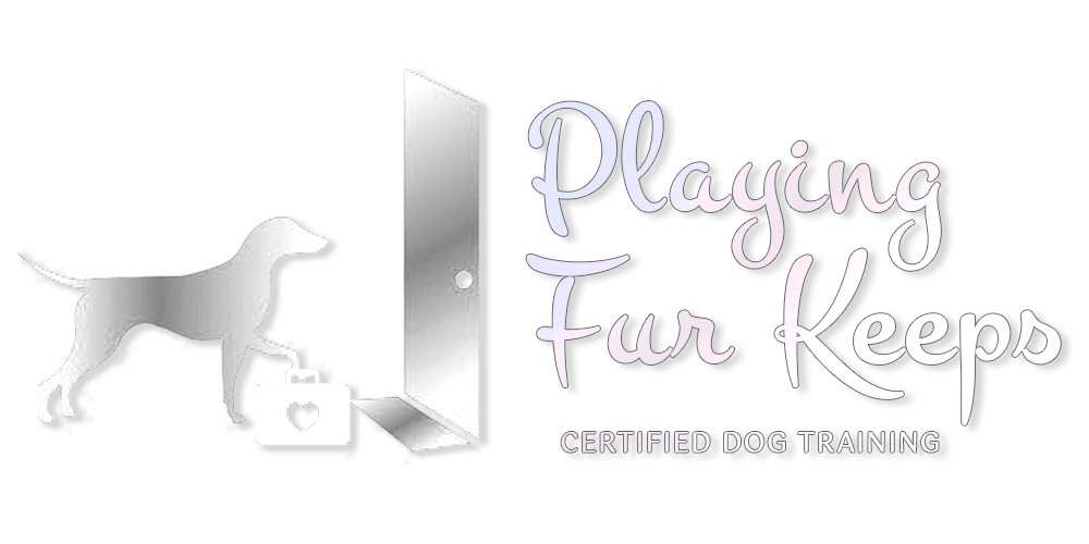 Playing Fur Keeps Certified Dog Training in Grand Rapids MI - PlayingFurKeeps.com